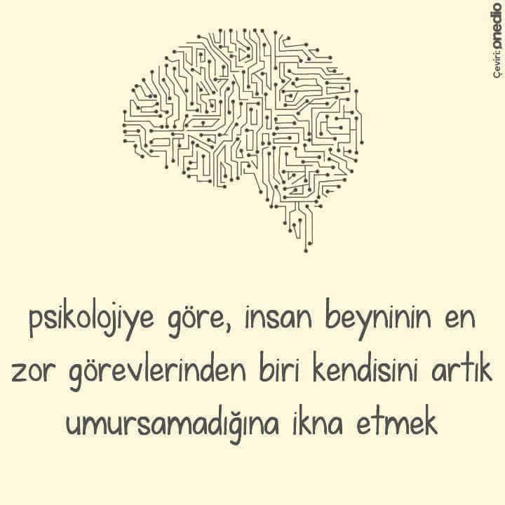 Beyne İyi Gelebilecek Bazı Tavsiyeler