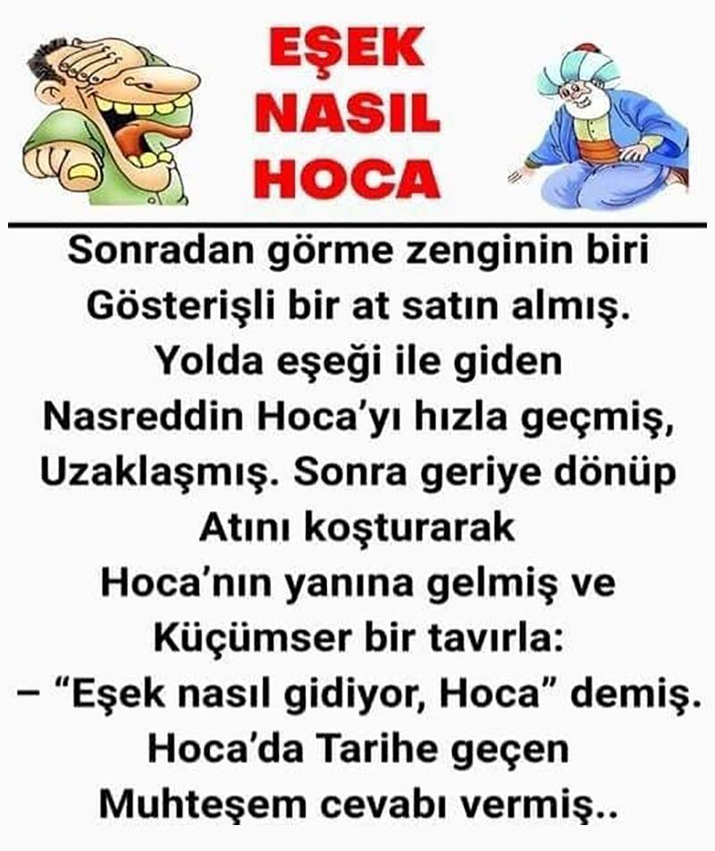 Nasreddin Hocadan Tarihi Ders