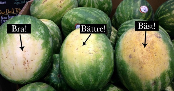 Artık Karpuz Zamanı Geldi. Ağzınıza Layık Karpuzu Seçmek İçin 6 Tüyo