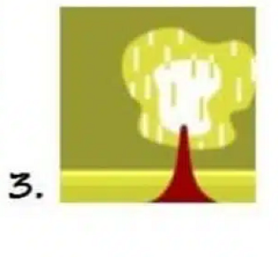 Ağaç Kişilik Testi: Seçtiğiniz ağaç, çok isabetli kişilik analizi yapıyor!