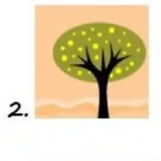 Ağaç Kişilik Testi: Seçtiğiniz ağaç, çok isabetli kişilik analizi yapıyor!