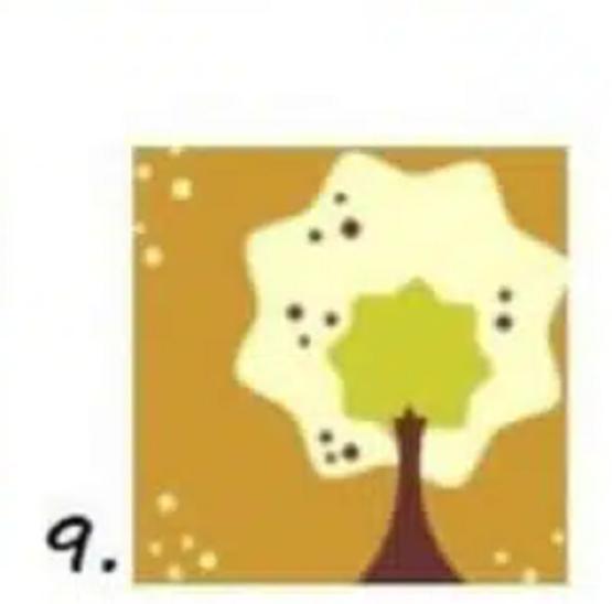 Ağaç Kişilik Testi: Seçtiğiniz ağaç, çok isabetli kişilik analizi yapıyor!