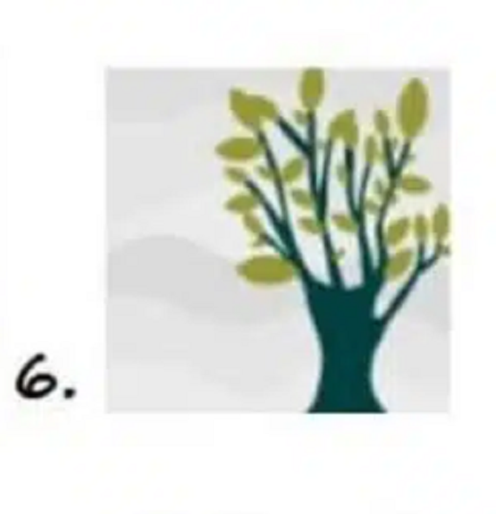 Ağaç Kişilik Testi: Seçtiğiniz ağaç, çok isabetli kişilik analizi yapıyor!