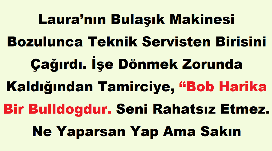 İşe Giden Kadın Tamirciye Köpeğinin Zararsız Olduğunu Ancak Papağanına Tek Kelime Etmemesini Söyledi – Papağana Bağıran Tamirci Evden Kaçmak Zorunda Kaldı