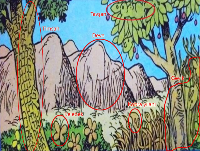 20 Saniyede 6 Hayvanı Bulan Dünya Rekoru Kırıyor! Bu Testi Milyonlarca Kez Denemelerine Rağmen Çözemediler!