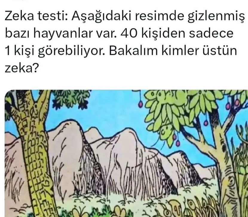 20 Saniyede 6 Hayvanı Bulan Dünya Rekoru Kırıyor! Bu Testi Milyonlarca Kez Denemelerine Rağmen Çözemediler!