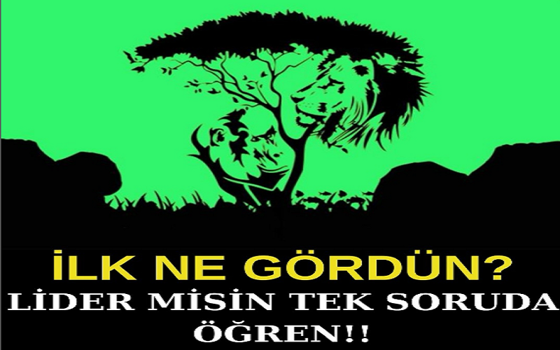 İlk olarak ne gördünüz? Lider Bir Kişiliğe Sahip misiniz? Tek Soruda Öğrenin