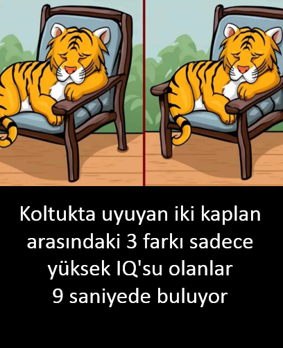  Koltukta uyuyan iki kaplan arasındaki 3 fark  3 farkı sadece yüksek IQ'su olanlar 9 saniyede buluyor 