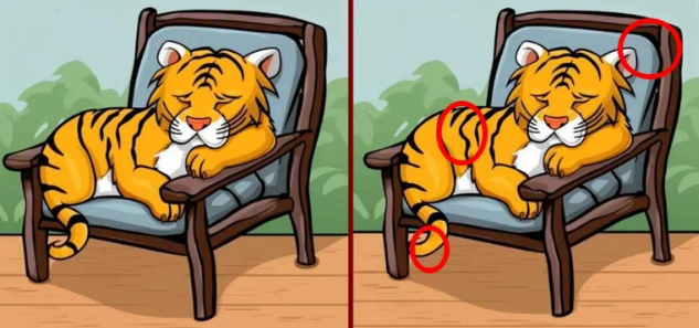  Koltukta uyuyan iki kaplan arasındaki 3 fark  3 farkı sadece yüksek IQ'su olanlar 9 saniyede buluyor 