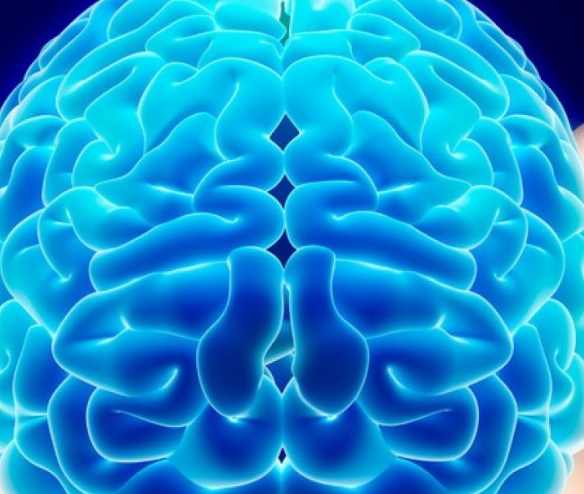 Dünyanın En Zeki İnsanları Bu Burçlardan Çıkıyor.. İşte O Burçlar!