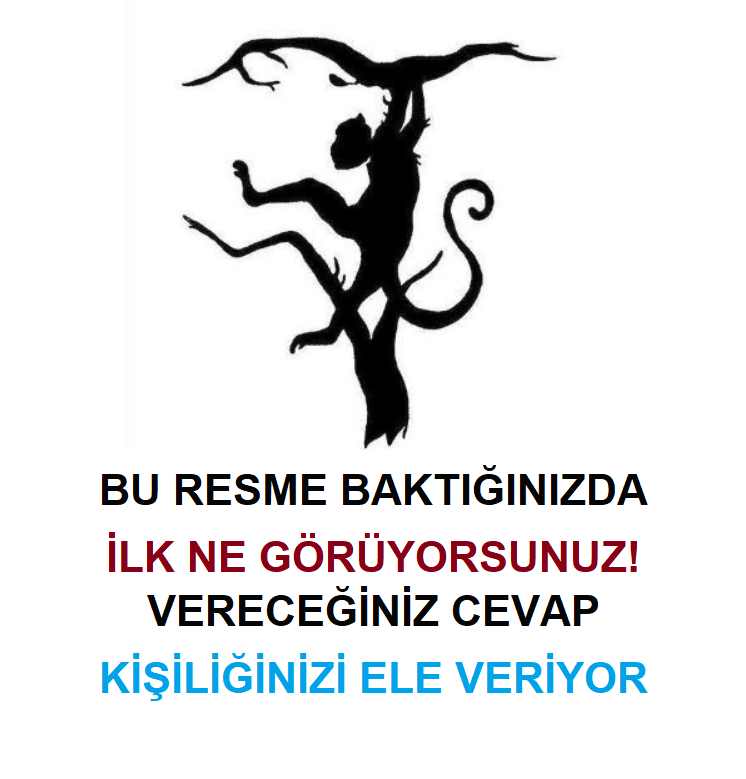 BU RESME BAKTIĞINIZDA İLK NE GÖRÜYORSUNUZ! VERECEĞİNİZ CEVAP KİŞİLİĞİNİZİ ELE VERİYOR