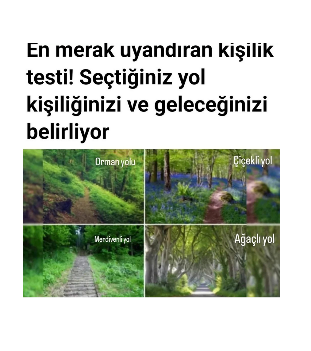 Bu Resimde Seçtiğiniz Yol Kişiliğinizi ve Talihinizi Açığa Çıkarıyor! İşte Karakter Özelliklerini Söyleyen Kişilik Testi