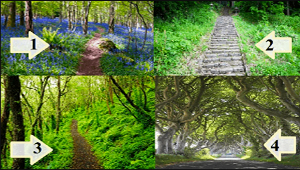 Bu Resimde Seçtiğiniz Yol Kişiliğinizi ve Talihinizi Açığa Çıkarıyor! İşte Karakter Özelliklerini Söyleyen Kişilik Testi