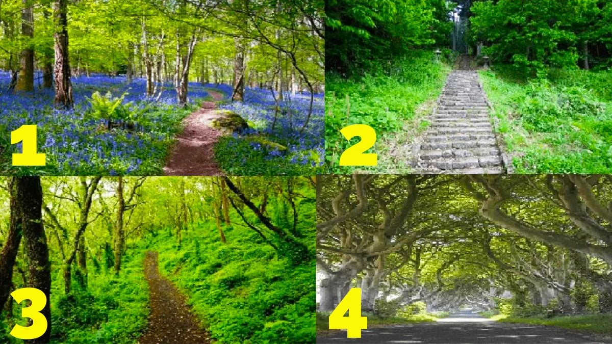 Bu Resimde Seçtiğiniz Yol Kişiliğinizi ve Talihinizi Açığa Çıkarıyor! İşte Karakter Özelliklerini Söyleyen Kişilik Testi