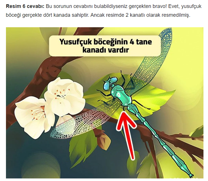 Bu Resimlerdeki Mantık Hatalarını Bulun