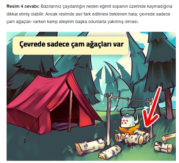 Bu Resimlerdeki Mantık Hatalarını Bulun