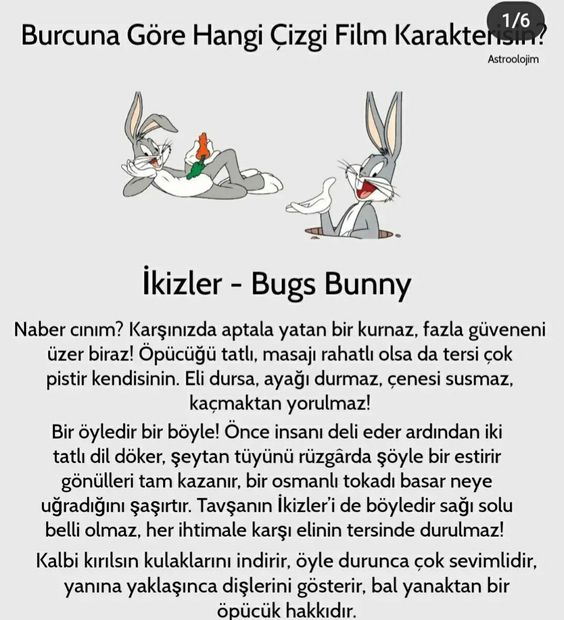 Burcuna Göre Hangi Çizgi Film Kahramanısın?