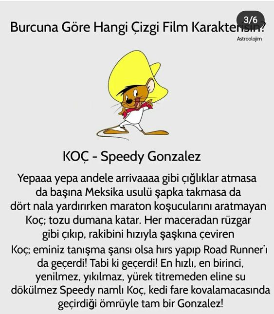 Burcuna Göre Hangi Çizgi Film Kahramanısın?