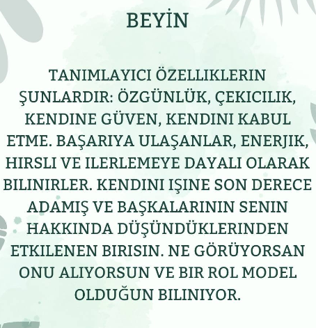 Resimde Gördüğün İlk Şey Ne Tür Bir Kişiliğe Sahip Olduğunu Ortaya Çıkaracak!