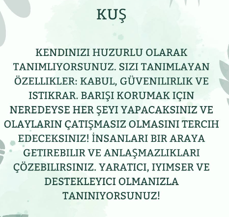 Resimde Gördüğün İlk Şey Ne Tür Bir Kişiliğe Sahip Olduğunu Ortaya Çıkaracak!
