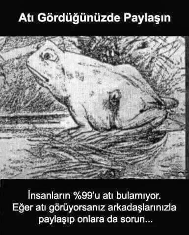 Atı bulabilecek misiniz? İnsanlar bu kurbağa resminde gizli olan atı bulmakta zorluk yaşıyor!