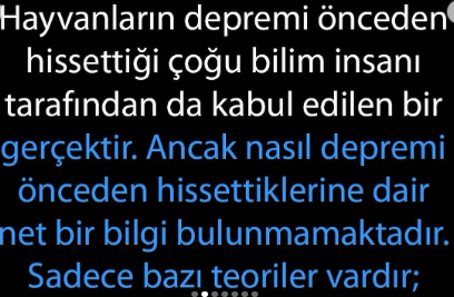 Herkes Evinde Muhakkak Muhabbet Kuşu Beslemeli. Neden mi? İşte İlginç Nedeni!