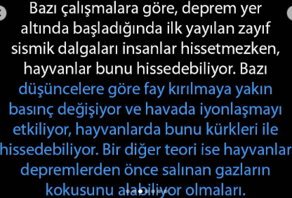 Herkes Evinde Muhakkak Muhabbet Kuşu Beslemeli. Neden mi? İşte İlginç Nedeni!