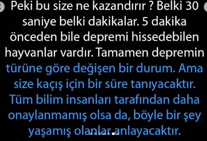 Herkes Evinde Muhakkak Muhabbet Kuşu Beslemeli. Neden mi? İşte İlginç Nedeni!