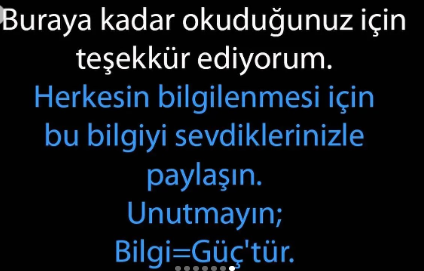 Herkes Evinde Muhakkak Muhabbet Kuşu Beslemeli. Neden mi? İşte İlginç Nedeni!
