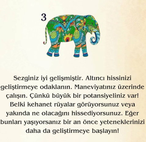 Bir Fil Seçin Ve Doğuştan Gelen Gücünüzü Keşfedin