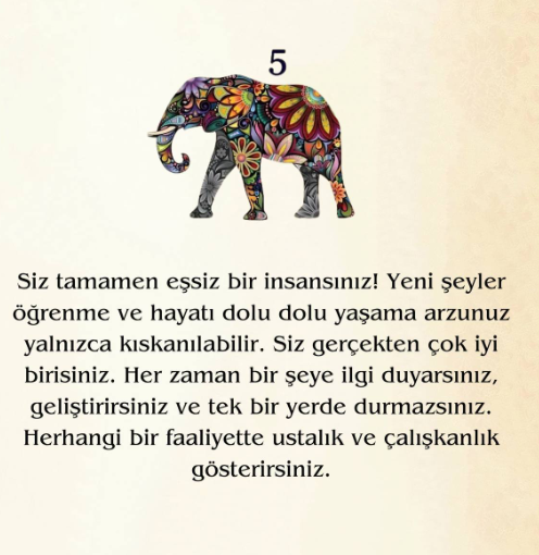 Bir Fil Seçin Ve Doğuştan Gelen Gücünüzü Keşfedin