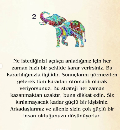 Bir Fil Seçin Ve Doğuştan Gelen Gücünüzü Keşfedin