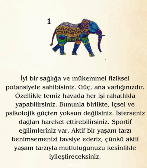 Bir Fil Seçin Ve Doğuştan Gelen Gücünüzü Keşfedin