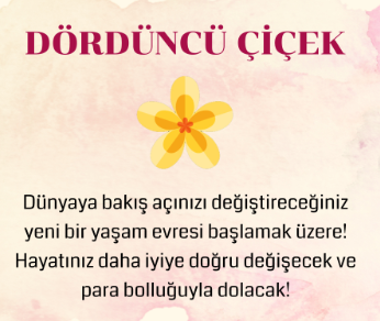 BİR ÇİÇEK SEÇİN VE HAZİRAN AYINDA SİZİ NELERİN BEKLEDİĞİNİ SÖYLESİN