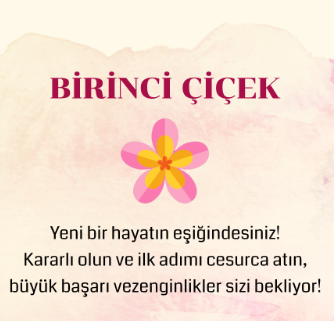 BİR ÇİÇEK SEÇİN VE HAZİRAN AYINDA SİZİ NELERİN BEKLEDİĞİNİ SÖYLESİN