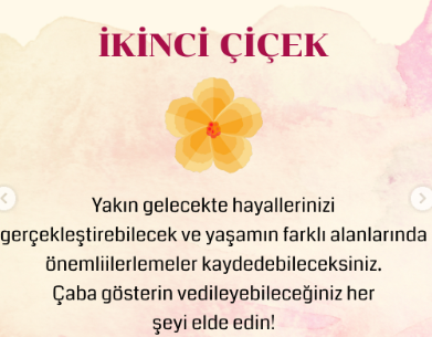 BİR ÇİÇEK SEÇİN VE HAZİRAN AYINDA SİZİ NELERİN BEKLEDİĞİNİ SÖYLESİN