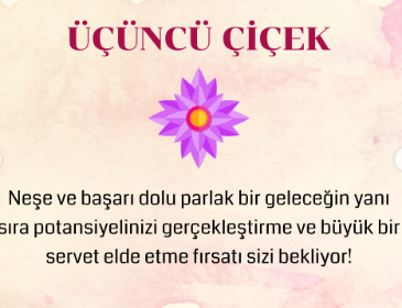 BİR ÇİÇEK SEÇİN VE HAZİRAN AYINDA SİZİ NELERİN BEKLEDİĞİNİ SÖYLESİN