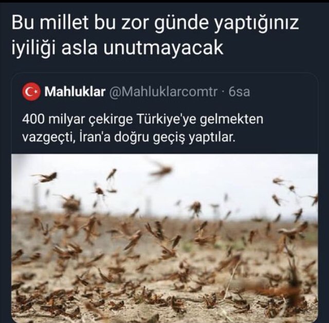 Gelmiş Geçmiş En Komik Twetler