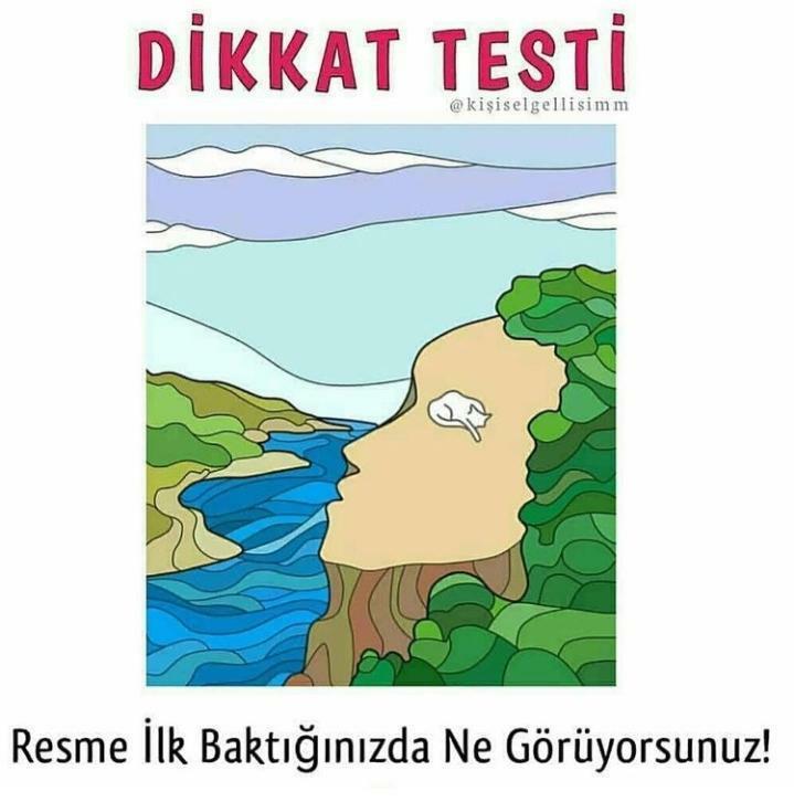 RESME İLK BAKTIĞINIZDA NE GÖRÜYORSUNUZ?