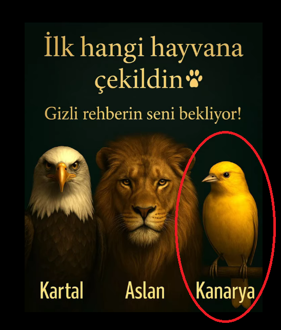 İlk Hangi Hayvana Çekildin? Bu Sadece Bir Seçim Değil, Bilinçaltının, Ruhunun İhtiyacını Fısıldayan Bir Mesaj