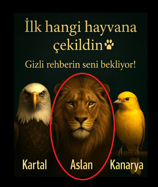 İlk Hangi Hayvana Çekildin? Bu Sadece Bir Seçim Değil, Bilinçaltının, Ruhunun İhtiyacını Fısıldayan Bir Mesaj