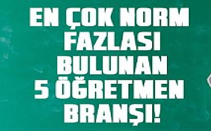 En Fazla Norm Fazlası Olan Branşlar