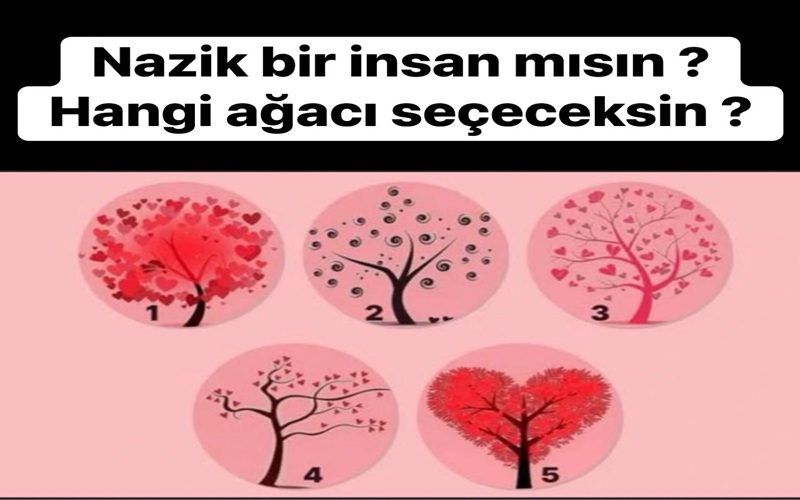 Ne Kadar Nazik Bir İnsansın? Seçeceğin Ağaç Gerçeği Ortaya Çıkartacak