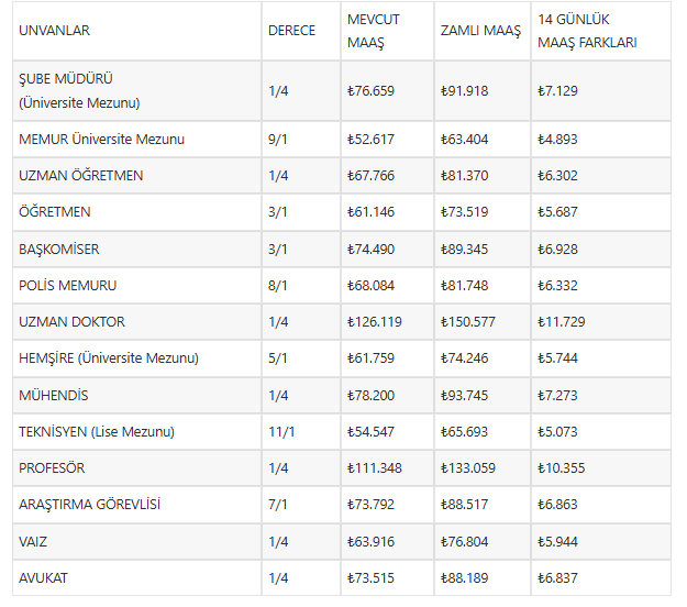 Mesleklere Göre Memurların Alacakları 14 Günlük Maaş Farkları